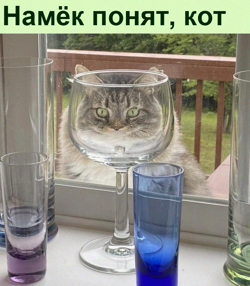 Убейся Позитивом :D - 9 декабря 2021 в 22:25