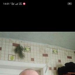 ��������, ��������, 56 ���