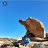 ���� �������, ������, 61 ��� - ��������� 6 ���� 2021