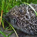  ,   -  29  2021        ,   :)