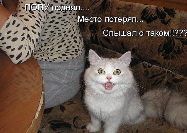    - 13  2021  11:28