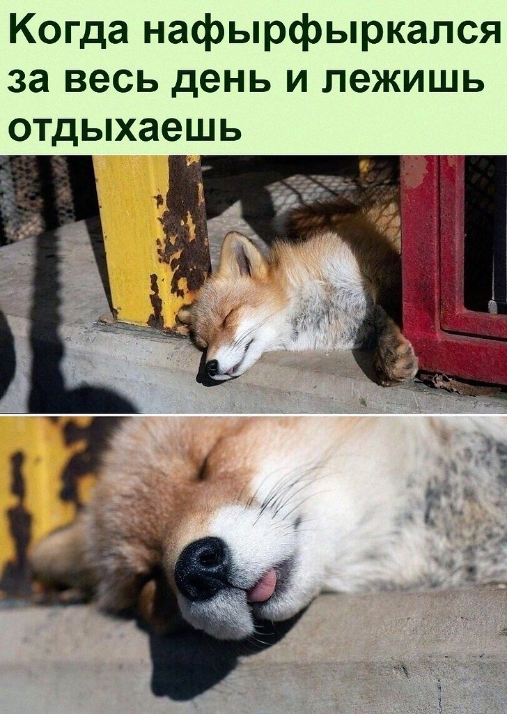   :D - 3  2022  18:43