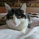 ���� Sergey, ����-�����������, 49 ��� - ��������� 21 ���� 2021 � ������ ���� ����������