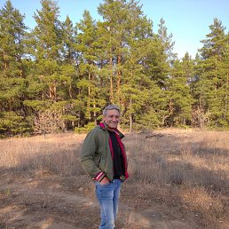 ������, ���������, 66 ���