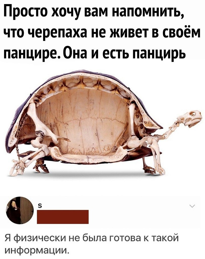        .    ,  ...