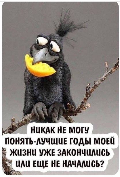 ������� ������������ - 22 ���� 2021 � 08:32