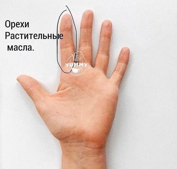    o    - 5
