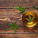 ���� ������ -������ ���������, ���������, 62 ���� - ��������� 23 ������� 2021 � ������ ������ ��������