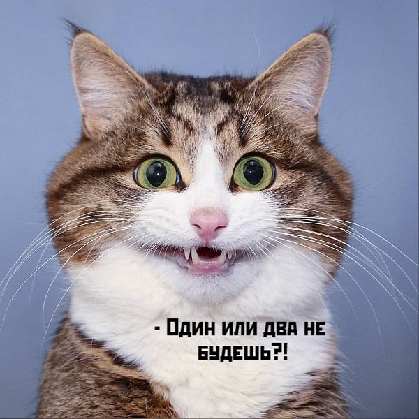       - 10  2021  10:12 - 5