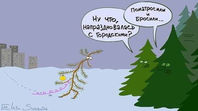  - 12  2022  19:31