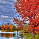 ����� �� ������� ���� ����������