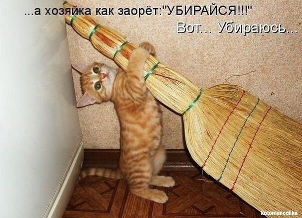 ��� �������� �������� - 31 ���� 2021 � 01:17