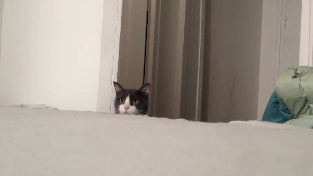 - ,      ?     ... - 2