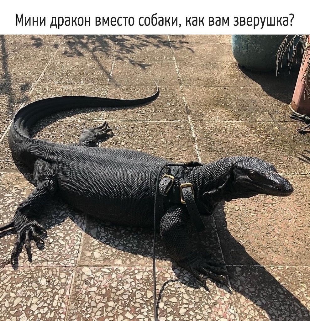 ������� ��� � �� ������