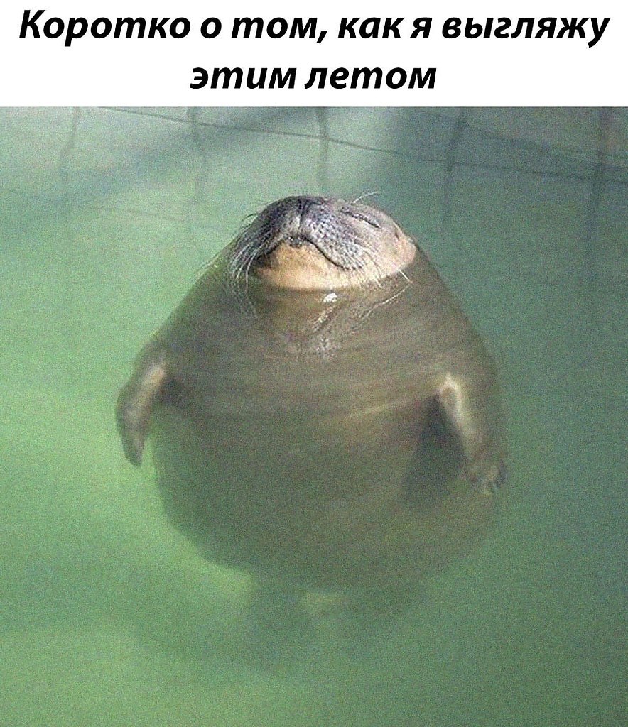 Workout |    - 14  2021  09:04