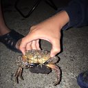 ���� ������, �����-���������, 53 ���� - ��������� 18 ������� 2021 � ������ ����� 2021�