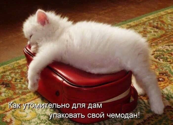    - 12  2021  20:44