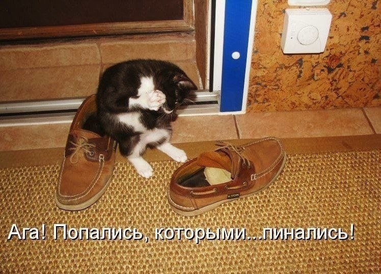    - 27  2021  17:14
