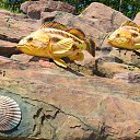  , , 69  -  16  2021   .  .