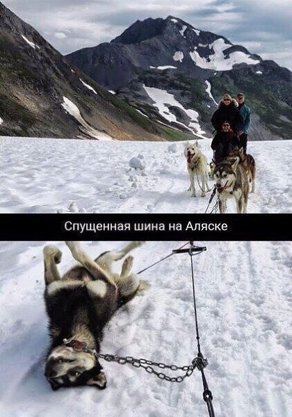  . - 7