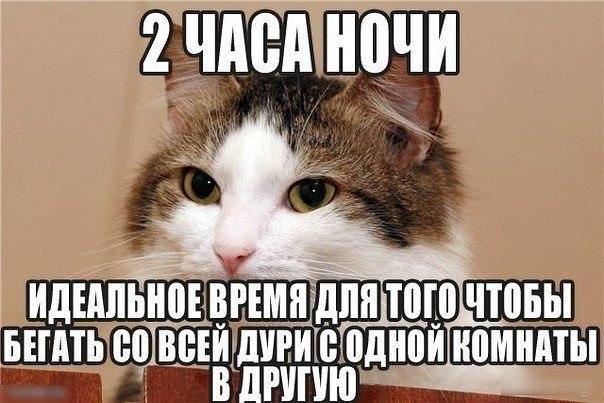    - 23  2021  01:16