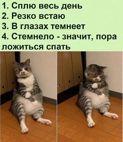   :D - 4  2022  22:53