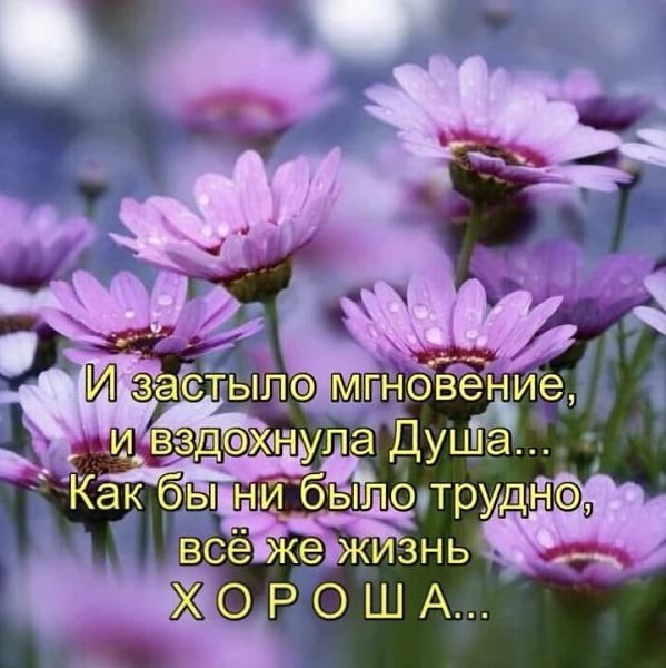  - 25  2021  03:02
