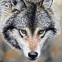 ���� ������, ������������ - ��������� 19 ������ 2021