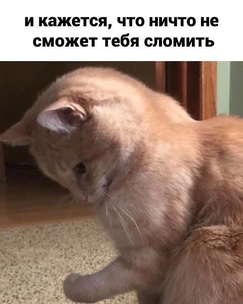 �� ��, ����������� ������ �������� ������� ����� ����������.������� - 3