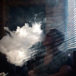 �����, ���������, 33 ����