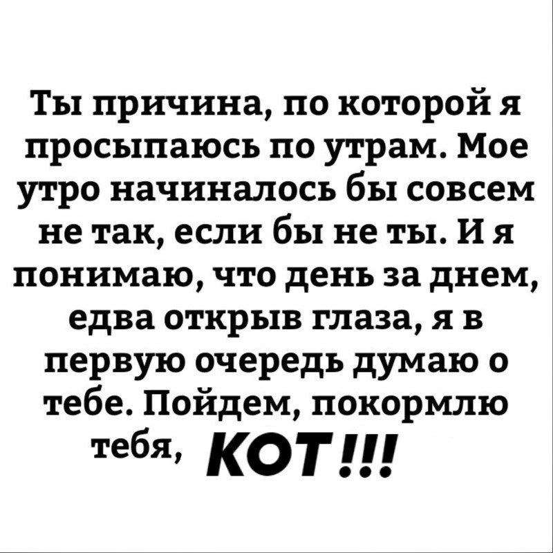    !)))