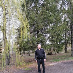 ��������, �����, 49 ���