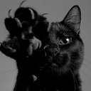  , -, 43  -  20  2021