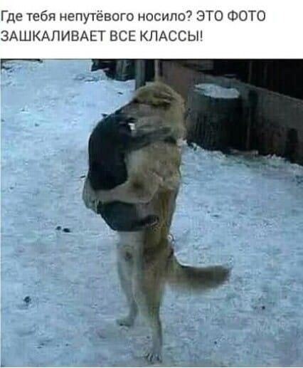 ���� - 16 ������� 2021 � 20:07