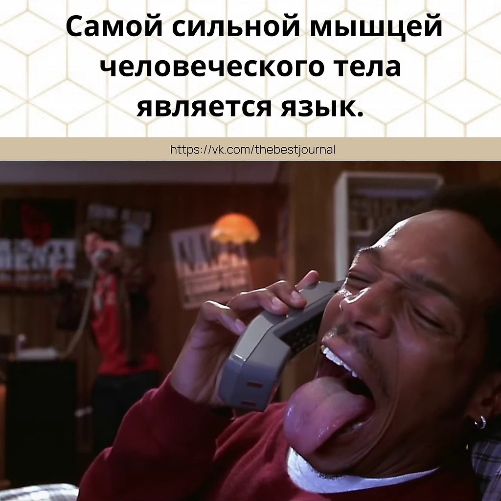 BEST | , ,  - 20  2021  16:26