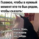 ���� ��������, ������, 56 ��� - ��������� 23 ������ 2022