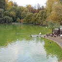 ���� Nika, ������, 55 ��� - ��������� 22 ������ 2022 � ������ ���� ����������