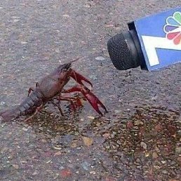 ���� ��������, �������, 23 ���� - ��������� 23 ������� 2021