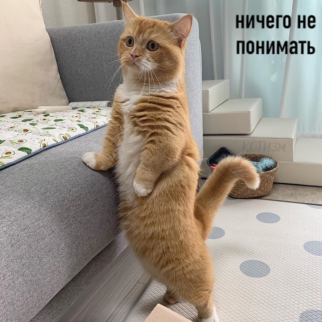   : - 5
