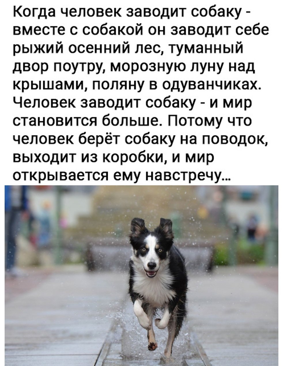  - 19  2021  13:50