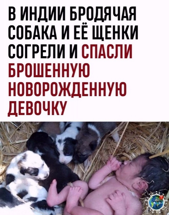 oa o o https://fotostrana.ru/away?to=/sl/CAS2atplant
