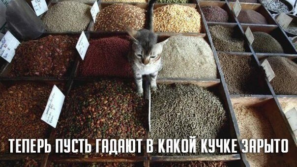    - 27  2021  06:31