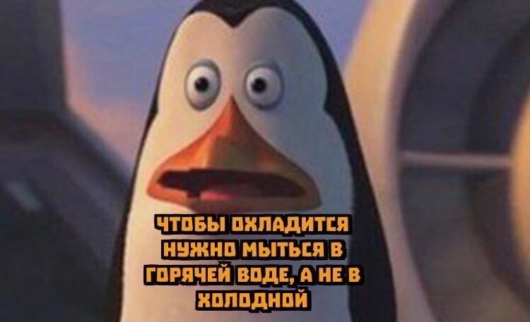      ,      - 2