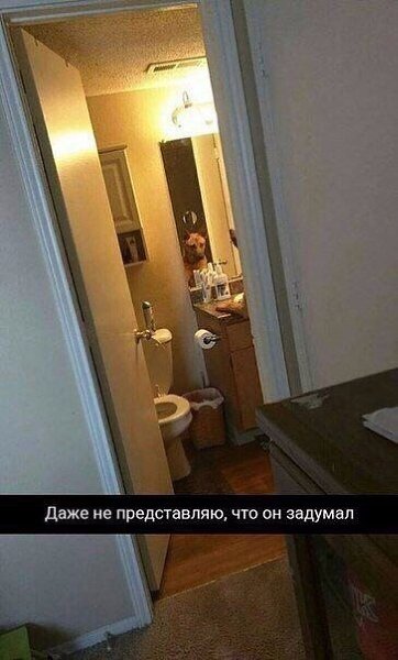  . - 10