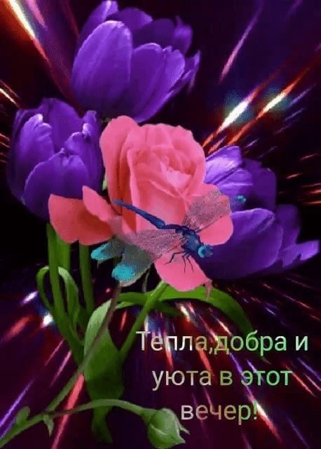   ,    . - 1  2021  18:21 - 5