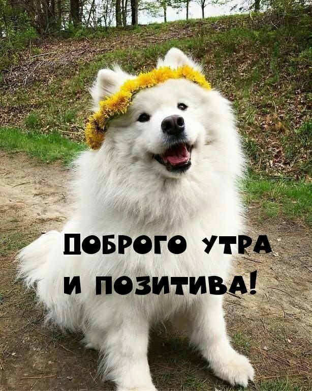   ,    . - 28  2021  22:37