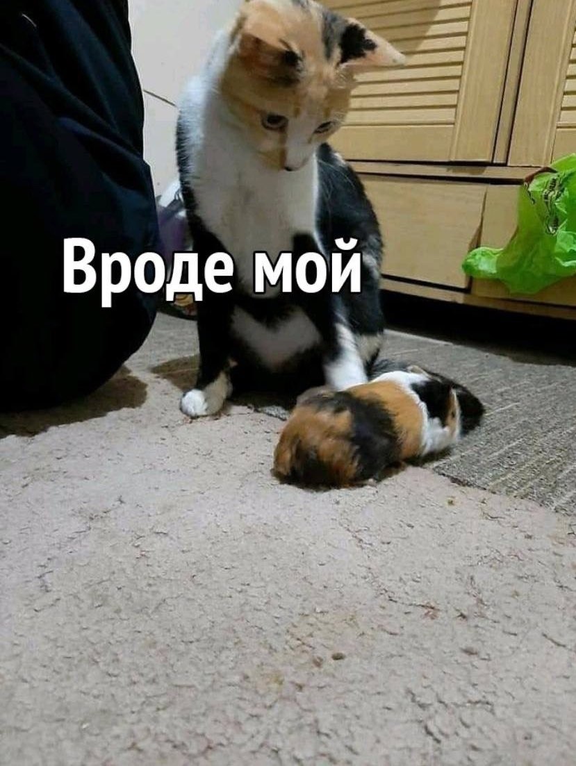  - 9  2021  22:20