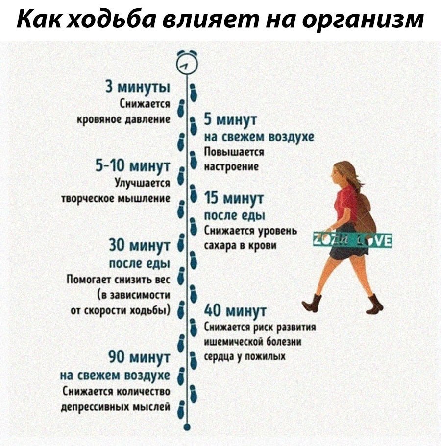 Workout |    - 3  2021  23:04