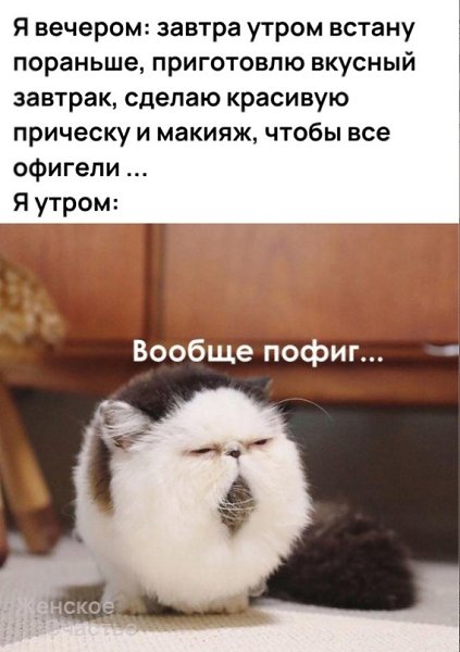 ��� ������