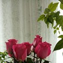 ���� ��������, �����������, 67 ��� - ��������� 24 ���� 2021 � ������ ���� ����������